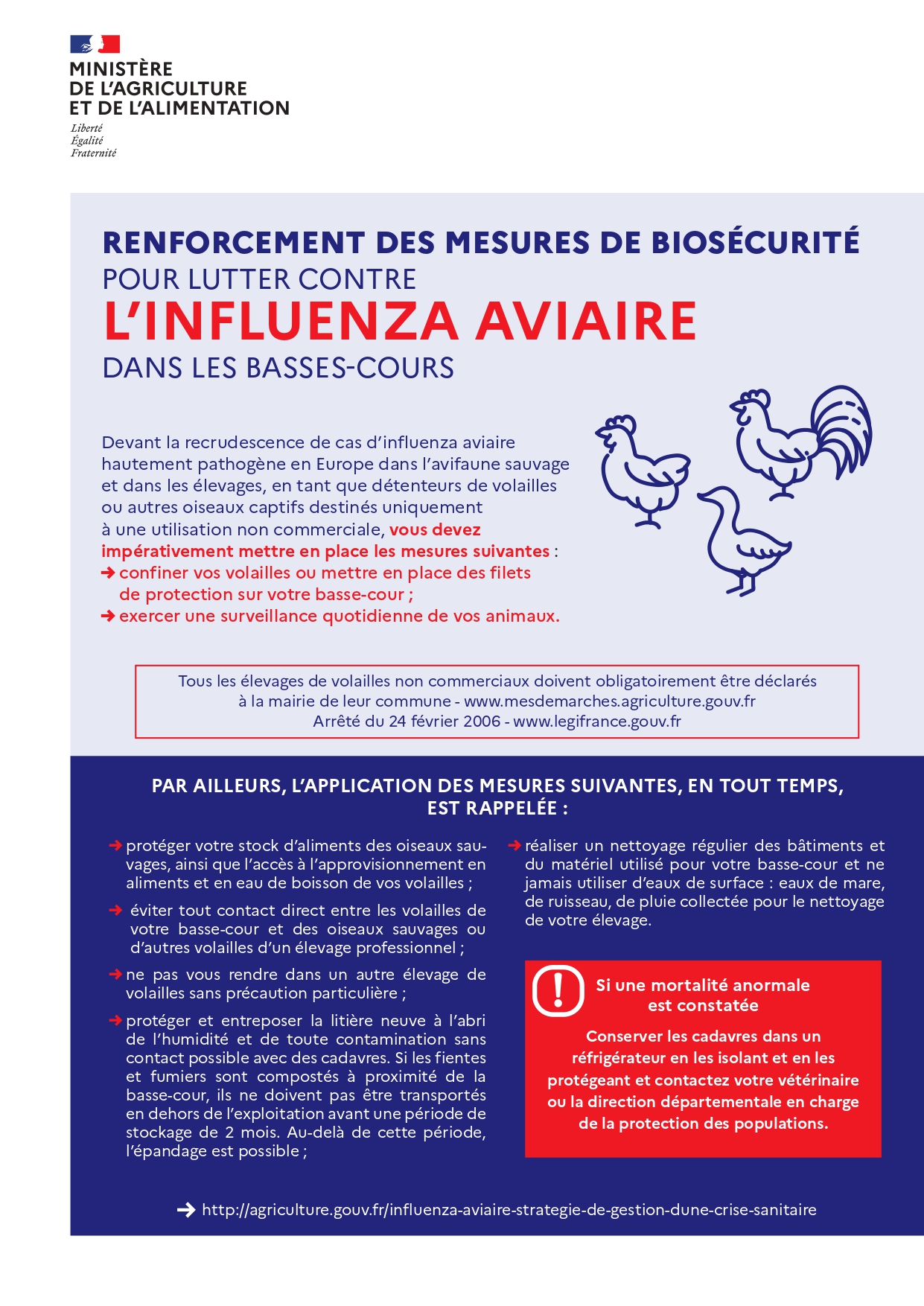 info Influenza Aviaire